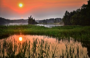 Pond and wetland area at sunset with trees in the background